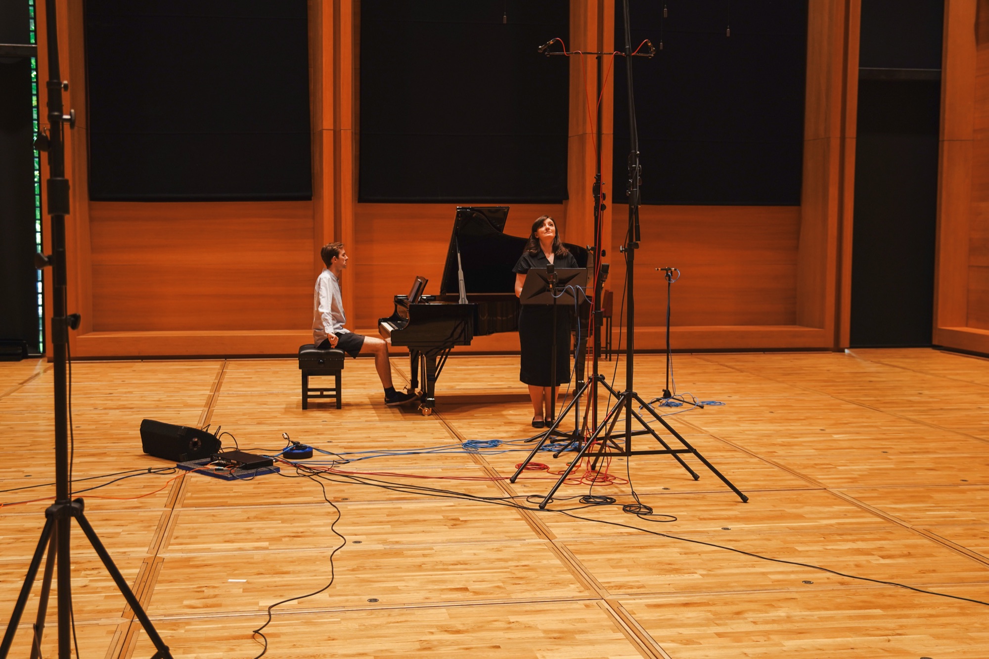 Beth Taylor, artist film for Linn Records